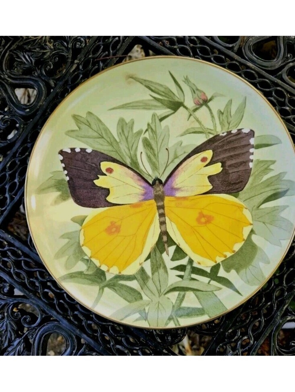 Vintage Butterfly Plate Stanley Galli Postal Artists #1115 of 15,000 1st Editi